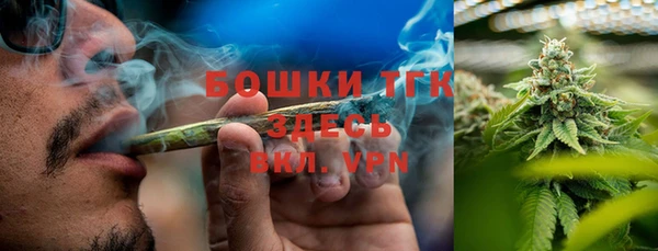 ГАЛЛЮЦИНОГЕННЫЕ ГРИБЫ Балабаново